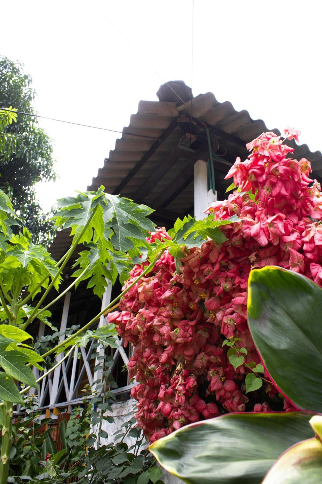 Wayanay Tayrona Eco Hostel El Zaino Esterno foto