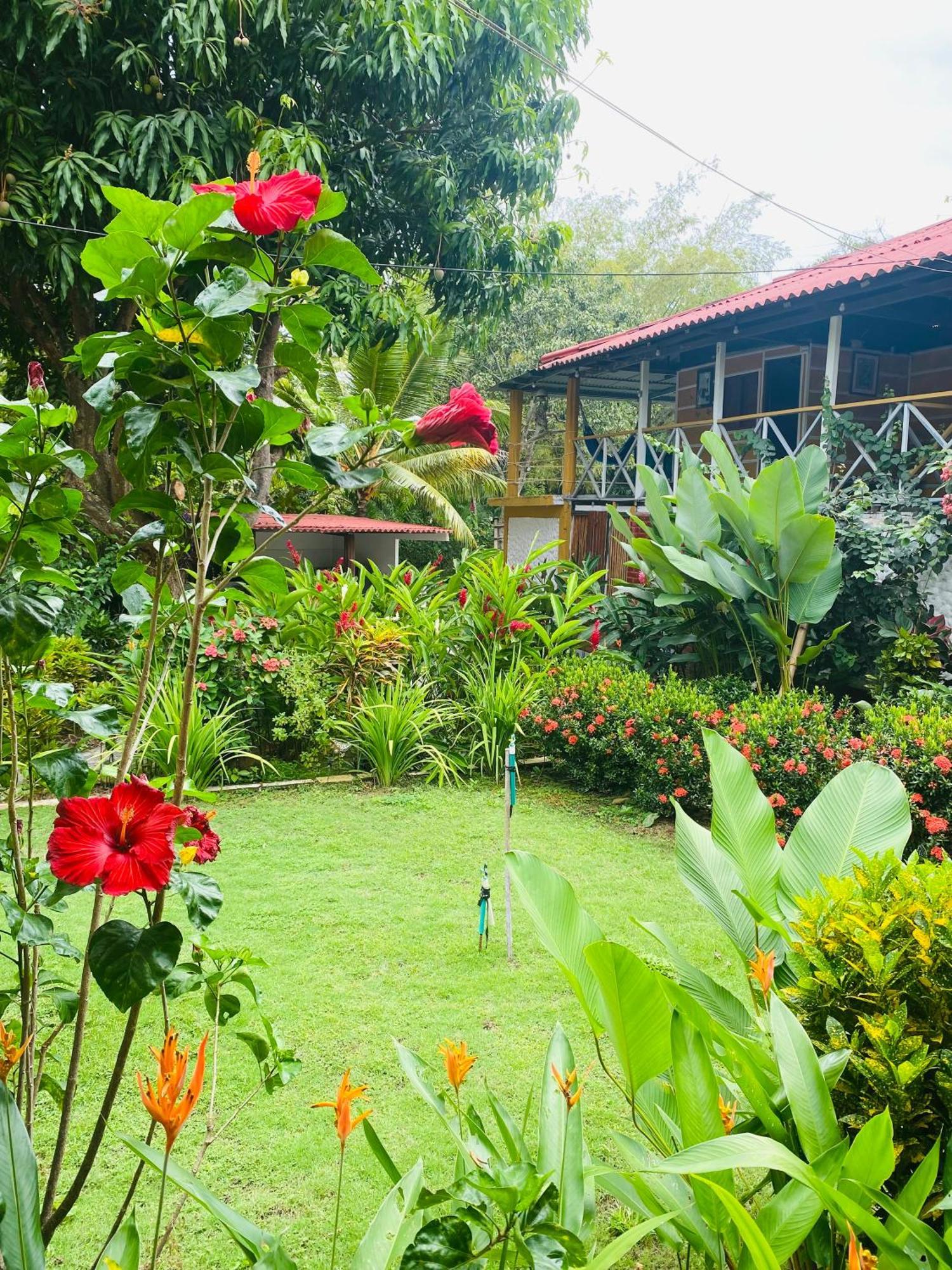 Wayanay Tayrona Eco Hostel El Zaino Esterno foto