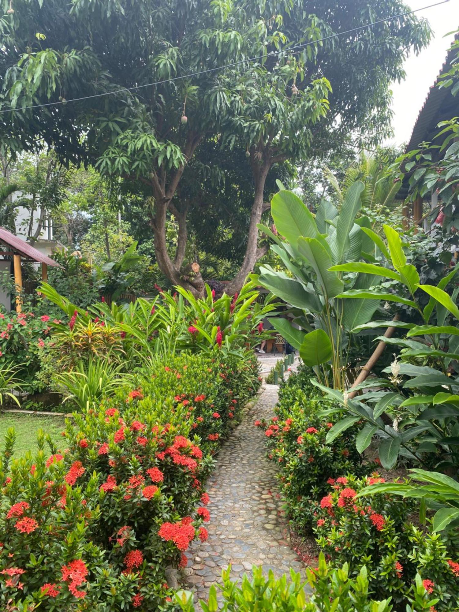 Wayanay Tayrona Eco Hostel El Zaino Esterno foto