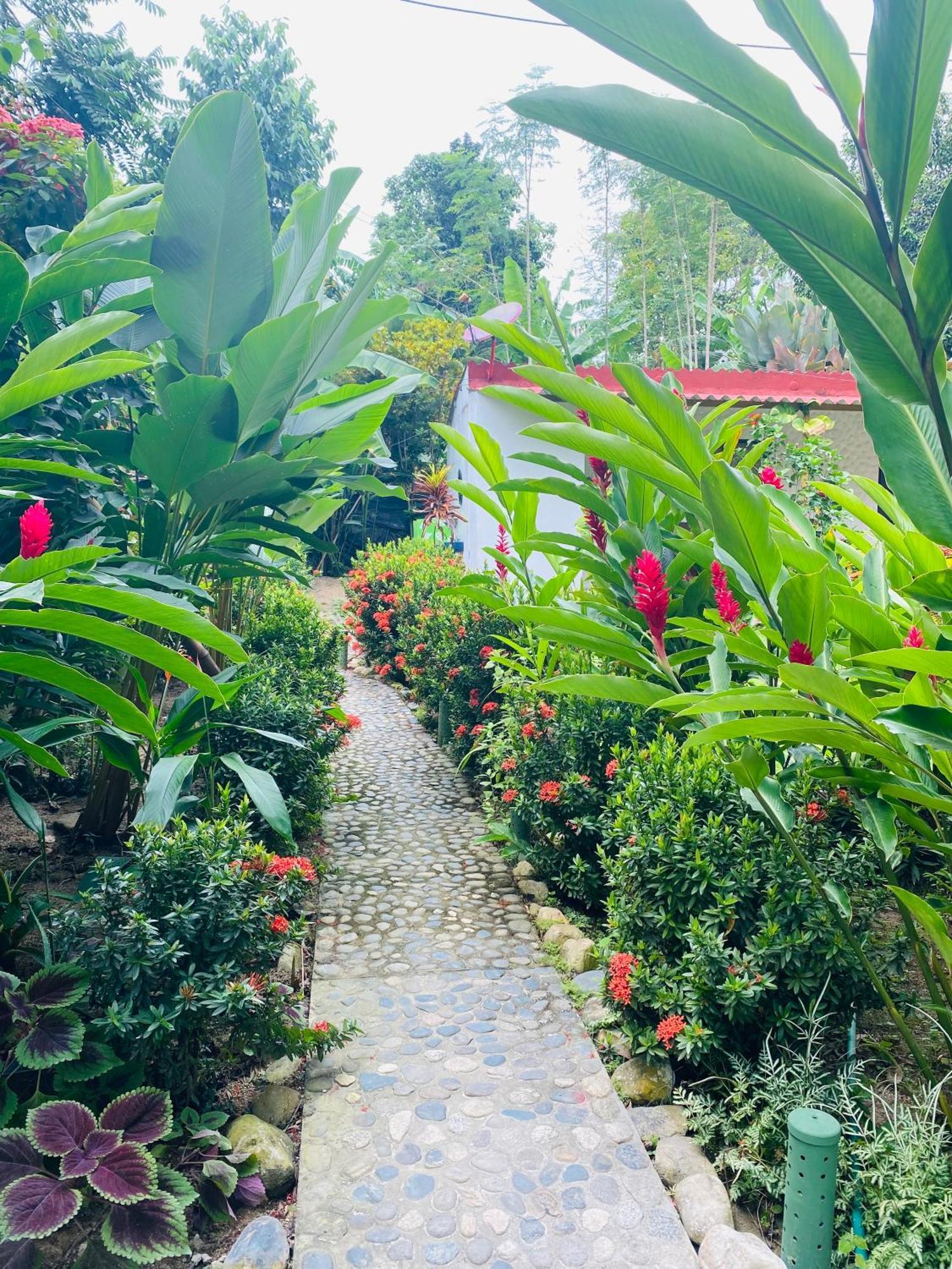 Wayanay Tayrona Eco Hostel El Zaino Esterno foto